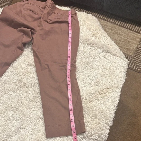 LOFT Mauve-Taupe Cropped Chinos - Picture 7 of 8